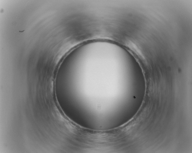 X0000089431268200707061335