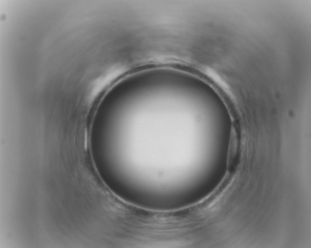 X0000089431269200707061335