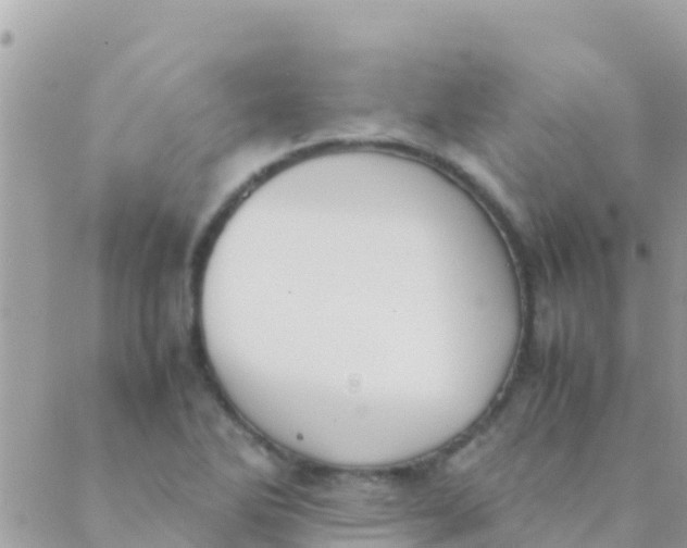 X0000089431270200707061335