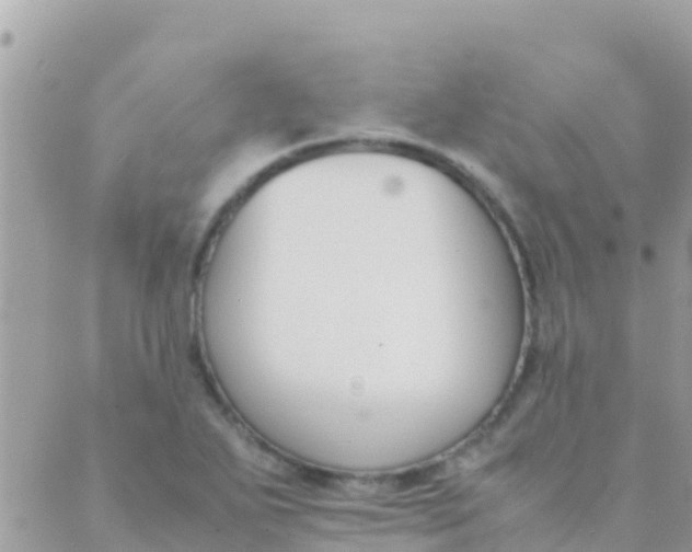 X0000089431271200707061334