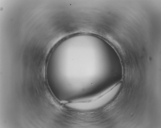 X0000089431272200707061334