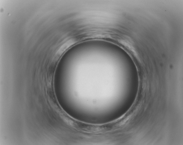 X0000089431273200707061334