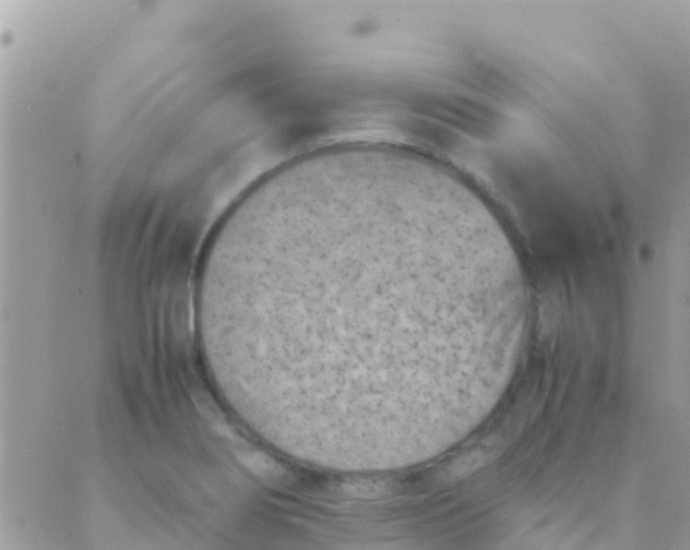 X0000089431274200707061334