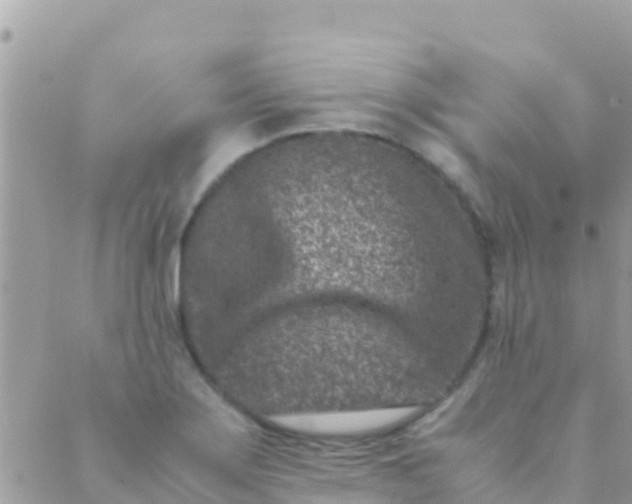 X0000089431275200707061334