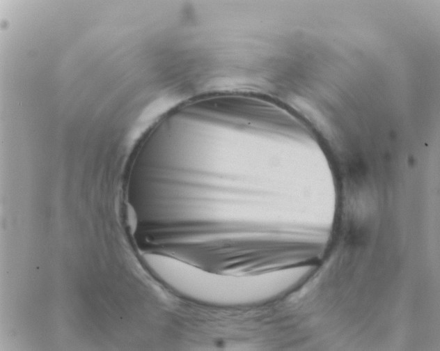 X0000089431277200707061334