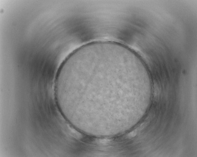 X0000089431278200707061334