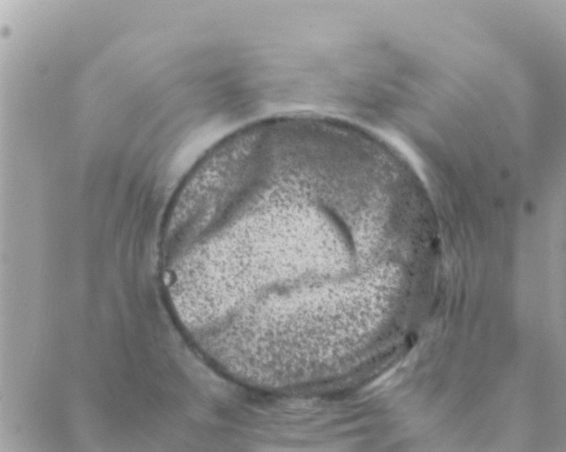 X0000089431279200707061334