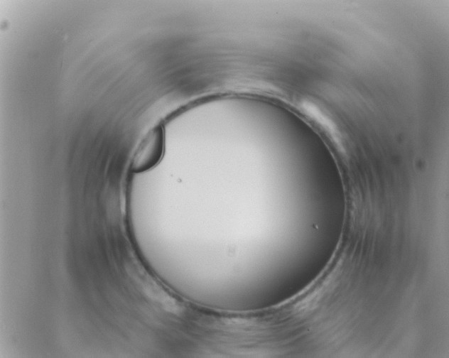 X0000089431280200707061334