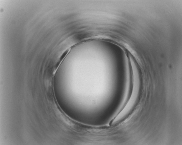 X0000089431281200707061334