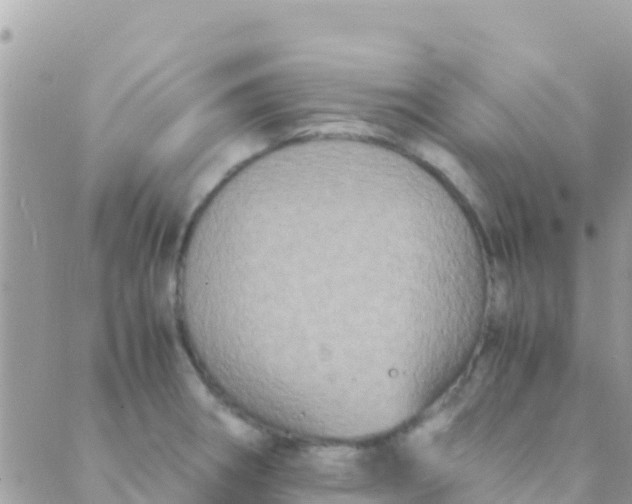 X0000089431282200707061334