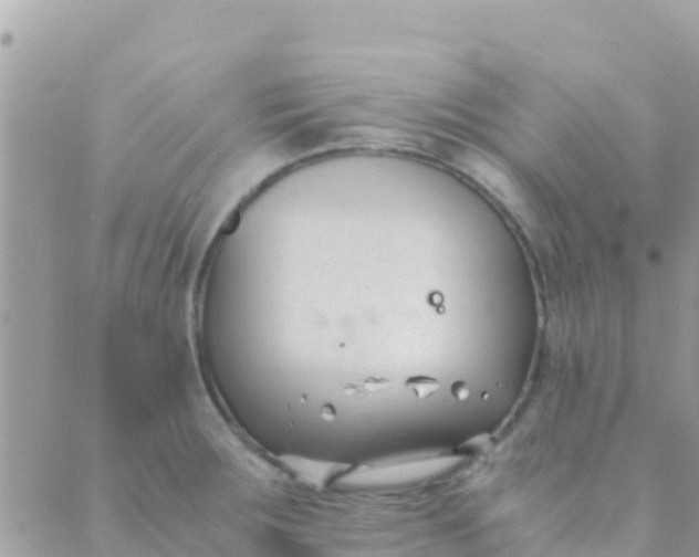 X0000089431283200707061334