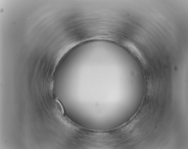 X0000089431284200707061334