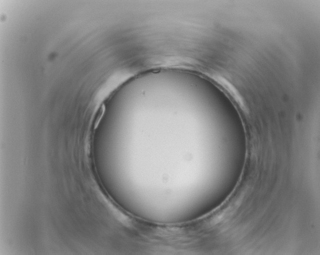 X0000089431285200707061334