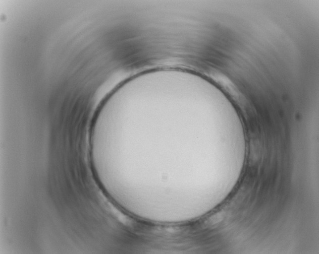 X0000089431286200707061334