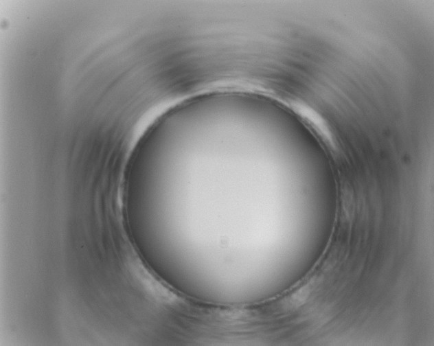 X0000089431288200707061334