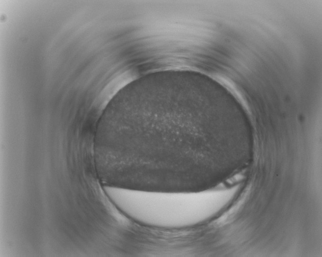 X0000089431289200707061334