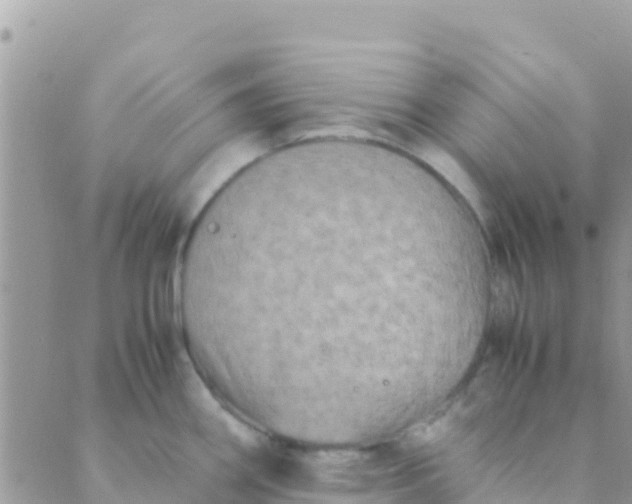 X0000089431290200707061334