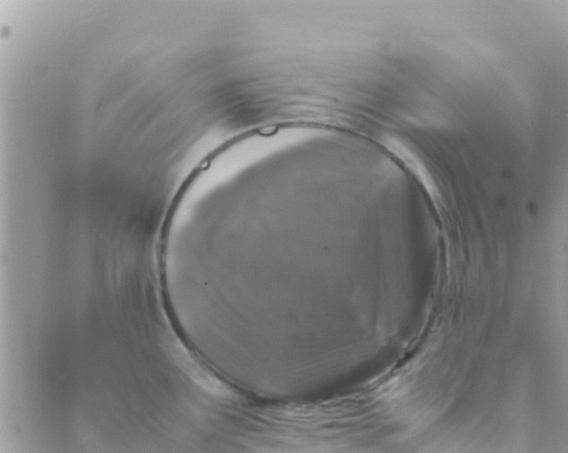 X0000089431291200707061334