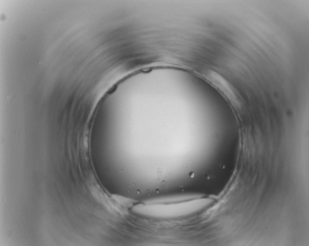 X0000089431292200707061334