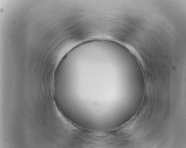 X0000089431295200707061334