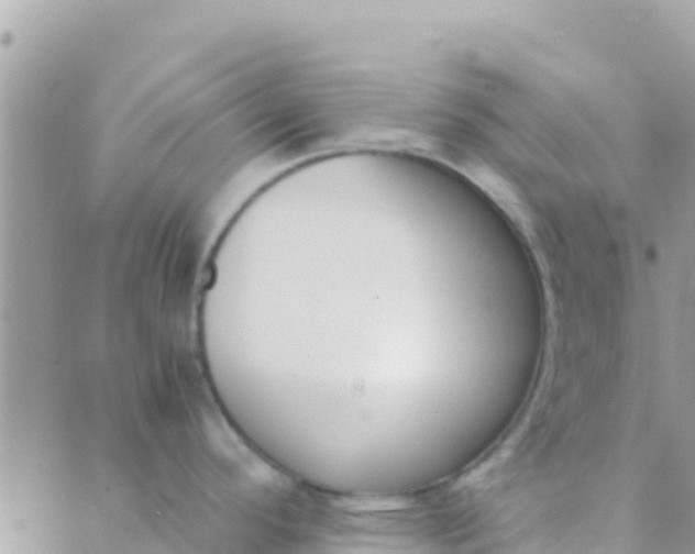 X0000089431296200707061334