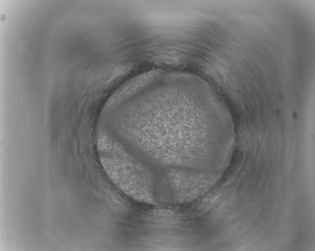 X0000089431297200707061333