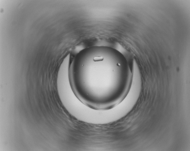 X0000089431298200707061333