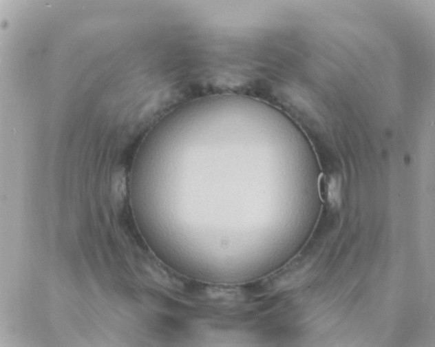 X0000089431299200707061333