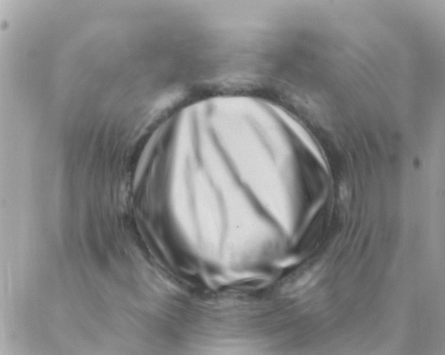 X0000089431300200707061333