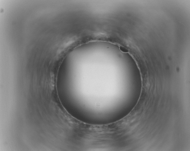 X0000089431301200707061333