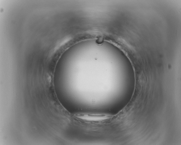 X0000089431302200707061333