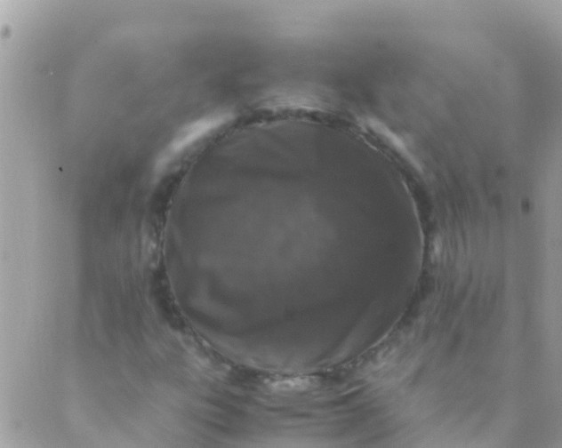 X0000089431303200707061333