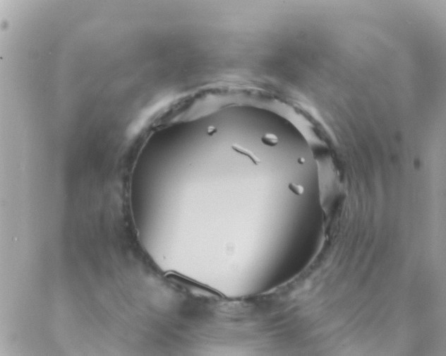 X0000089431304200707061333