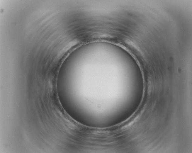 X0000089431305200707061333