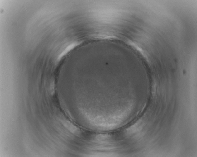 X0000089431306200707061333