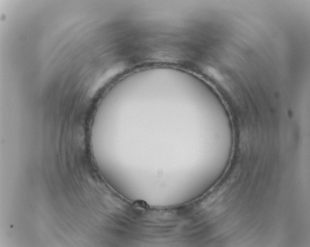 X0000089431307200707061333