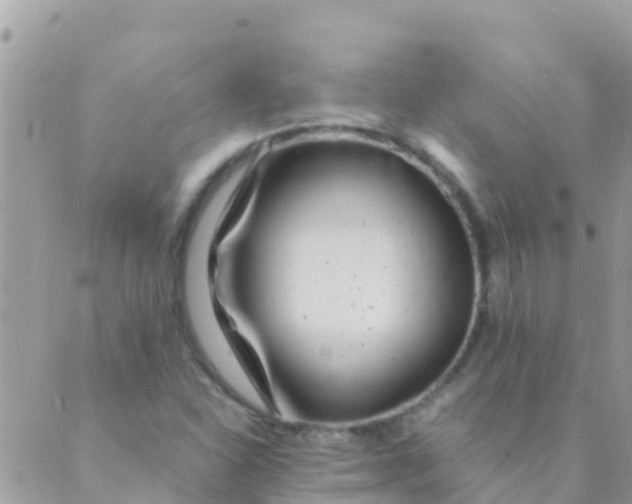 X0000089431310200707061334