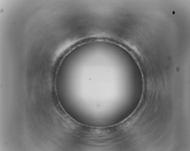 X0000089431311200707061334