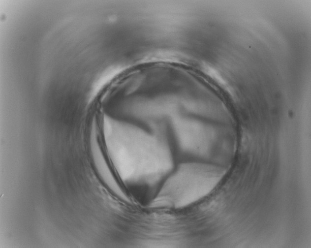 X0000089431312200707061334