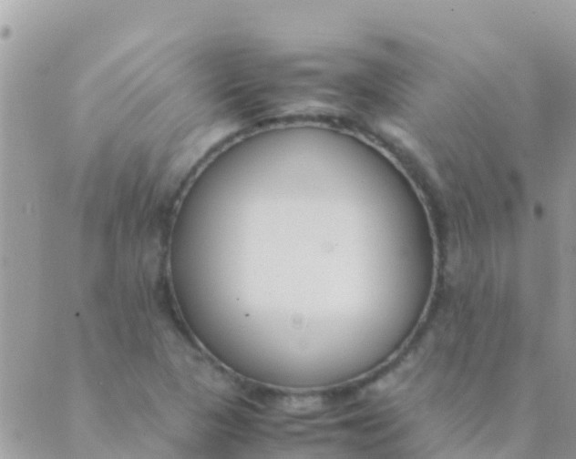 X0000089431313200707061334