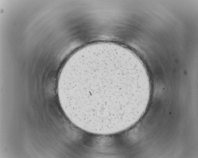 X0000089431314200707061334