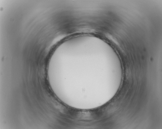 X0000089431315200707061334