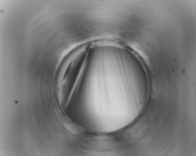 X0000089431316200707061334