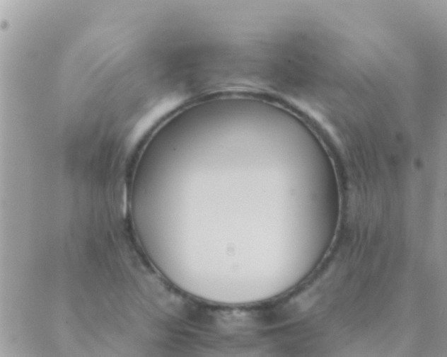 X0000089431317200707061334