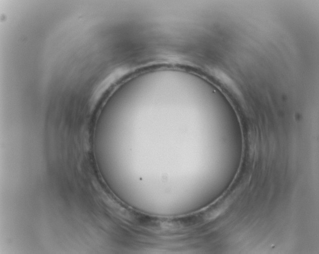 X0000089431318200707061334