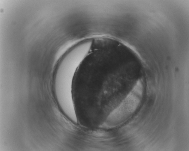 X0000089431319200707061334