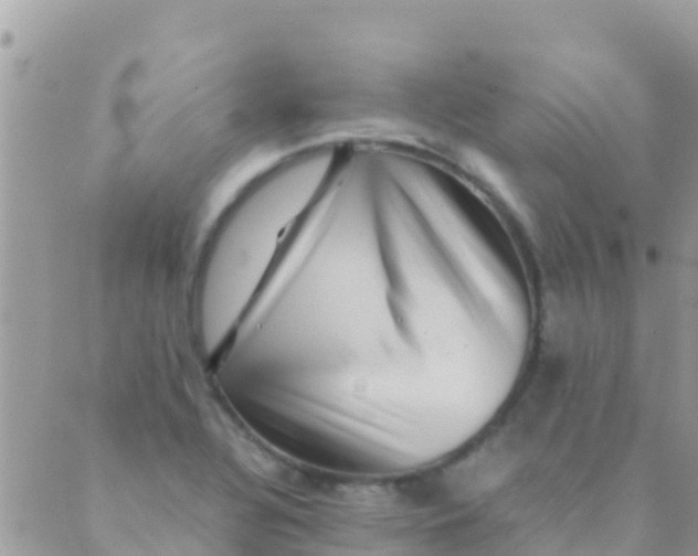 X0000089431320200707061334