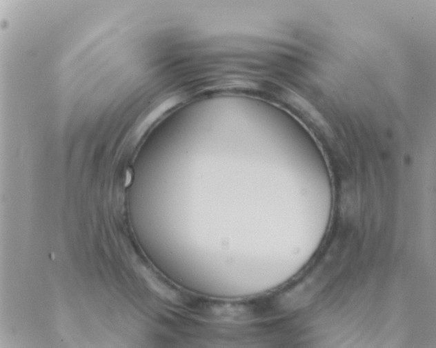 X0000089431321200707061334