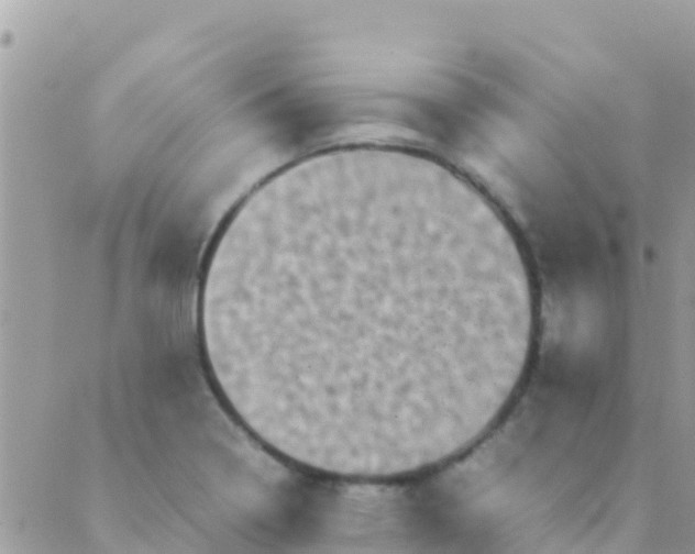 X0000089431322200707061334