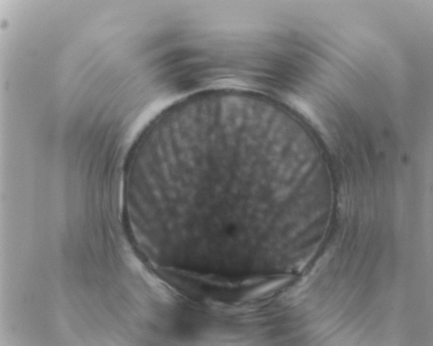 X0000089431323200707061334